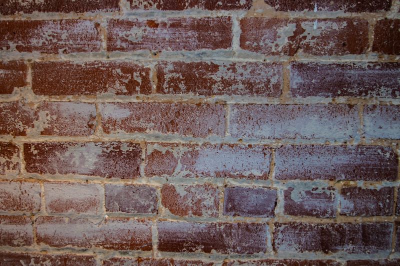 Exterior Masonry Staining in Longmont, CO